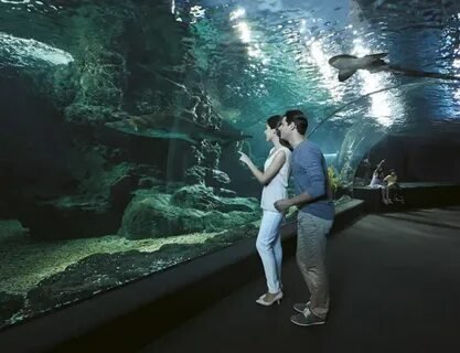 Sea Life Bangkok Ocean World